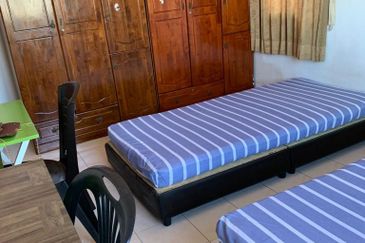 Evergreen Park Scot Pine