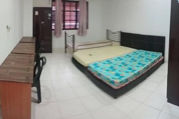 Evergreen Park Scot Pine