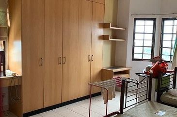 Evergreen Park Scot Pine