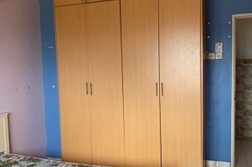 Evergreen Park Scot Pine