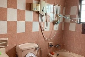 Evergreen Park Scot Pine