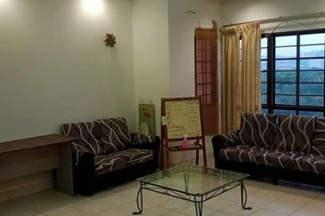 Evergreen Park Scot Pine