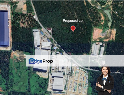 Pekan Industrial Land, Johor, Pekan Nanas (Pekan Nenas)