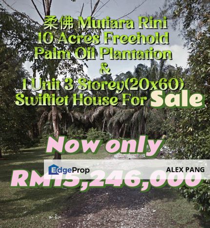 🏡🌳🌳JOHOR MUTIARA RINI 10 ACRES FREEHOLD ZONING RESIDENTIAL PALM OIL PLANTATION + 1 UNIT 3 STOREY (20 x 60) SWIFTLET HOUSE FOR SALES ❗🔥🔥🔥, Johor, Skudai