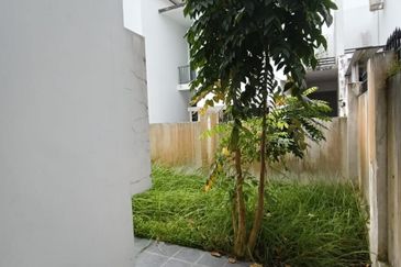 The Rainforest @ Eco Tropics