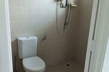 FLORA TROPIKA (THE THOMPSON)