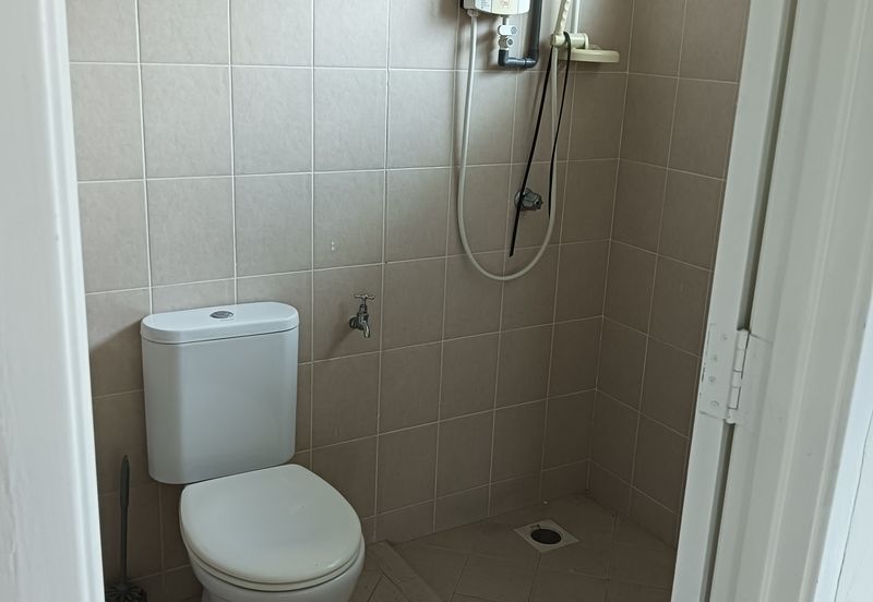 FLORA TROPIKA (THE THOMPSON)