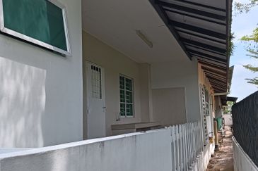 FLORA TROPIKA (THE THOMPSON)