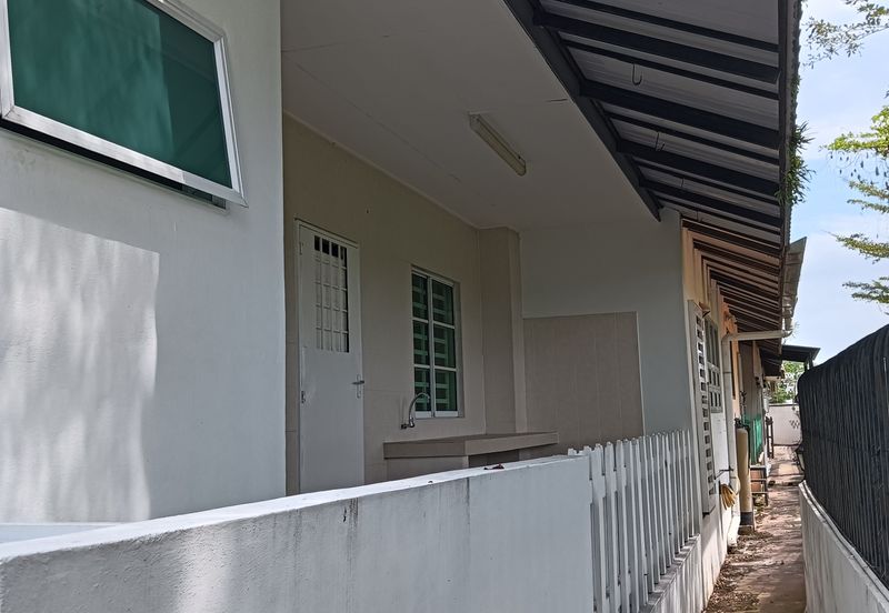 FLORA TROPIKA (THE THOMPSON)