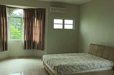 FLORA TROPIKA (THE THOMPSON)