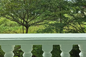 FLORA TROPIKA (THE THOMPSON)