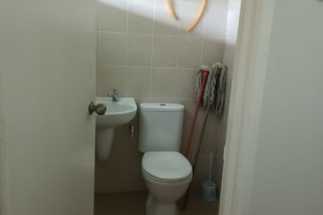 FLORA TROPIKA (THE THOMPSON)