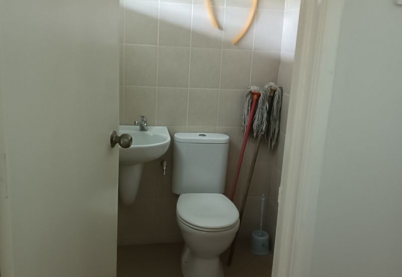 FLORA TROPIKA (THE THOMPSON)