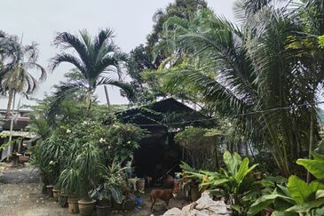 The Dale @ Tambun Perdana