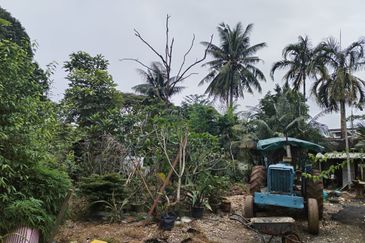 The Dale @ Tambun Perdana