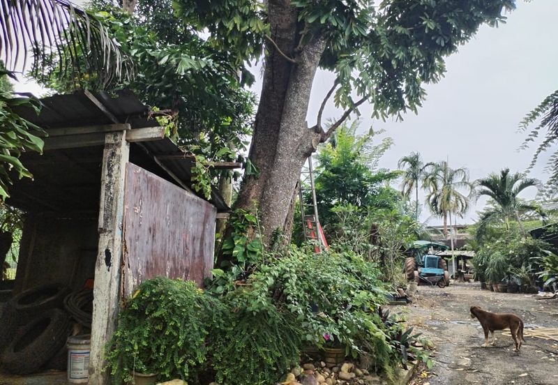 The Dale @ Tambun Perdana