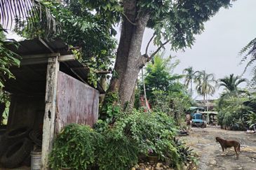 The Dale @ Tambun Perdana