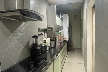 Delink, Taman Segar Jaya