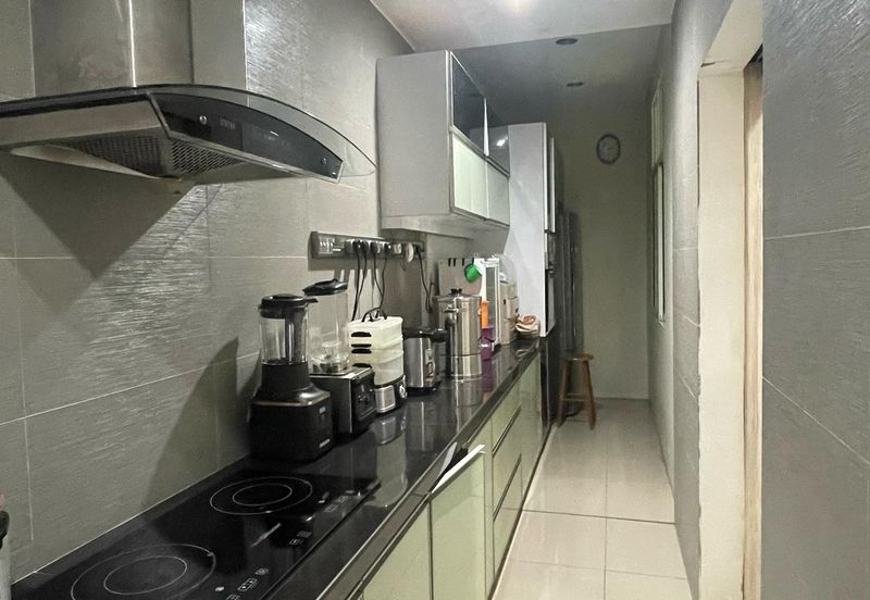 Delink, Taman Segar Jaya