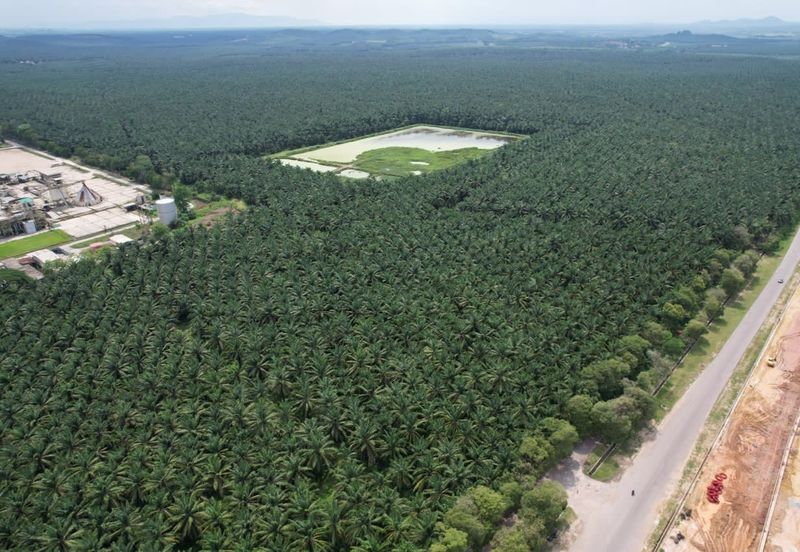 Padang Meha Industrial