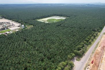 Padang Meha Industrial