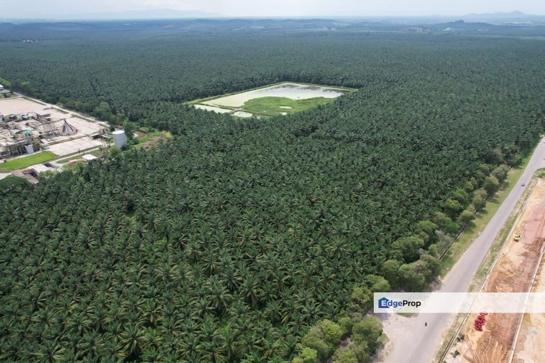 Zoning industry Land At Padang Meha Kedah For Sale, Kedah, Karangan