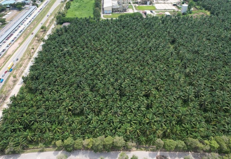 Padang Meha Industrial