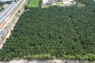 Padang Meha Industrial