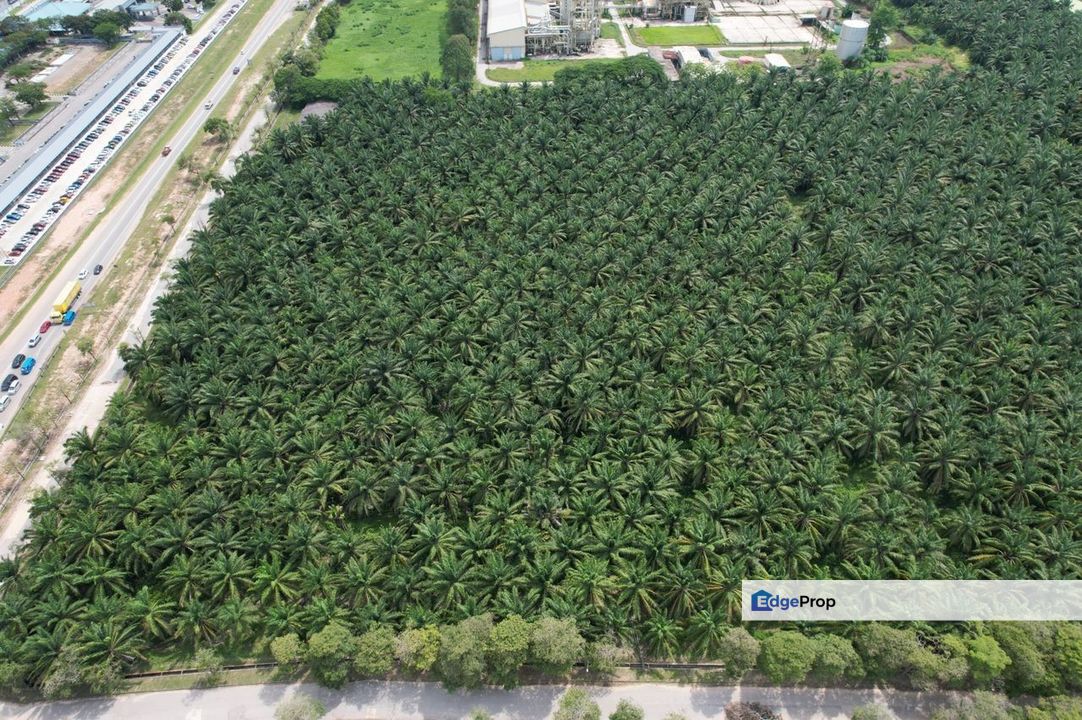 Zoning industry Land At Padang Meha Kedah For Sale, Kedah, Karangan