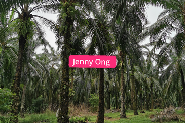 Zoning Residential Land At Gurun,Kedah For Sale