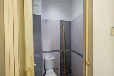 Delink, Taman Segar Jaya