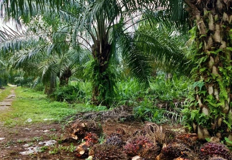 Teluk Panglima Garang