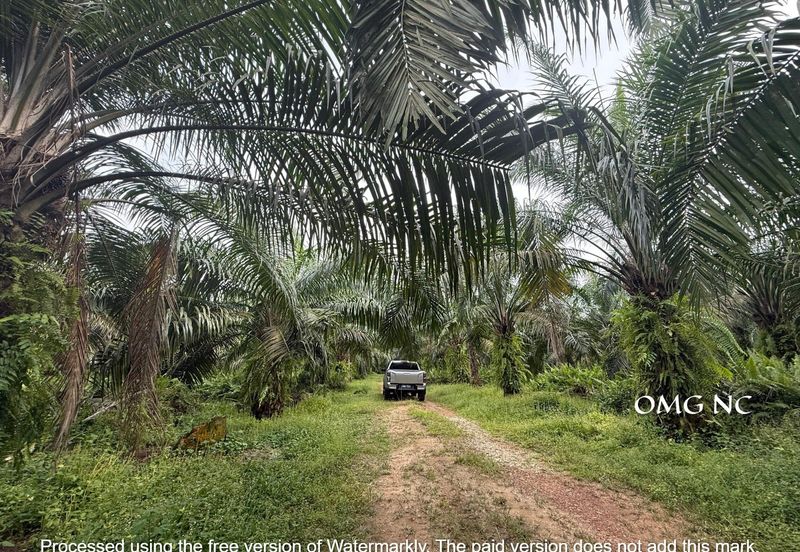 Teluk Panglima Garang