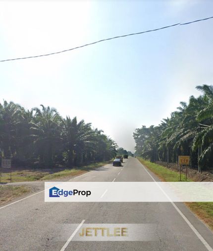 Kuala Langat Banting  Agriculture Land For Sell, Selangor, Banting