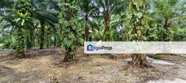 LAND FOR SALE | AGRICULTURE LAND FOR SALE, Selangor, Tanjong Sepat