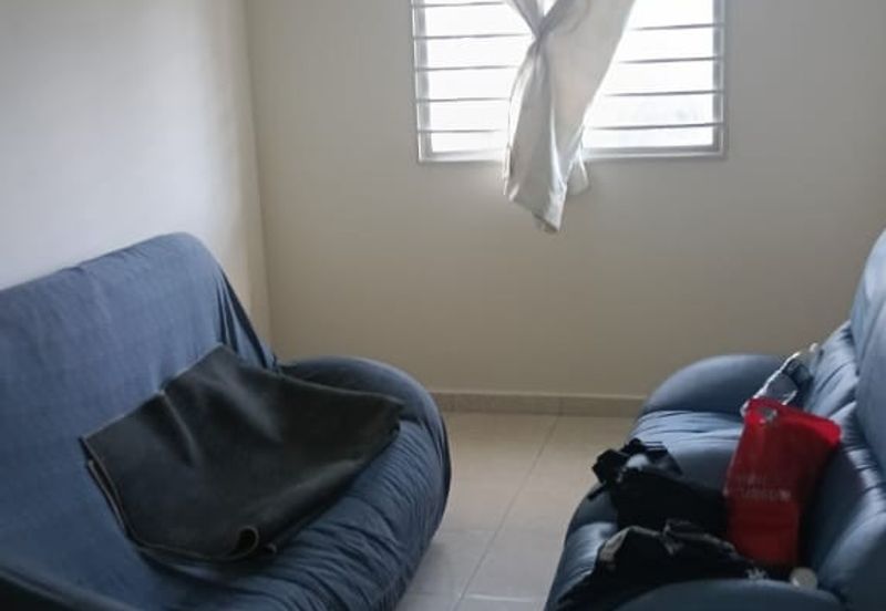 Taman Sinar Pelangi (Lavender Park)