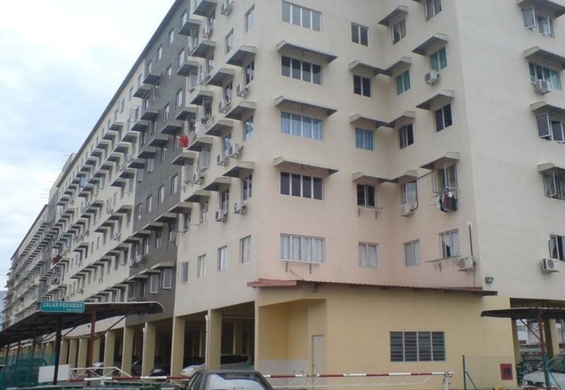 Taman Sinar Pelangi (Lavender Park)