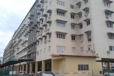 Taman Sinar Pelangi (Lavender Park)