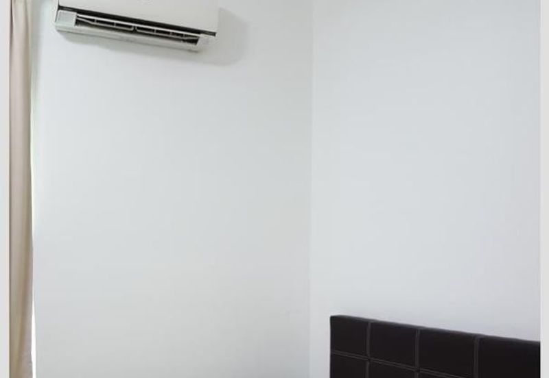 The Light Collection II