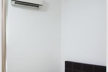 The Light Collection II