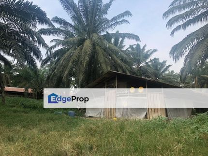 Jawi Land - Suitable for industrial, Penang, Sungai Bakap 
