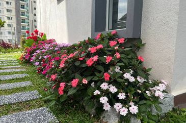 Zinnia Residences @ Cameron Highlands