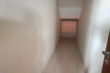 FLORA TROPIKA (THE THOMPSON)