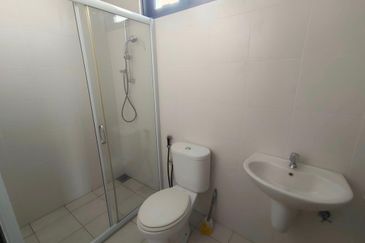 FLORA TROPIKA (THE THOMPSON)