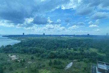 Pinetree, Puteri Harbour