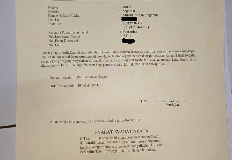 Pekan Jabi Agricultural Land