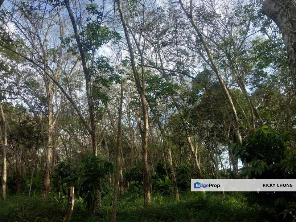 Pekan Jabi Agricultural Land, Johor, Segamat