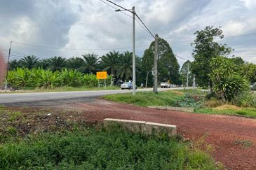 Agriculture land for sell @ Tangkak