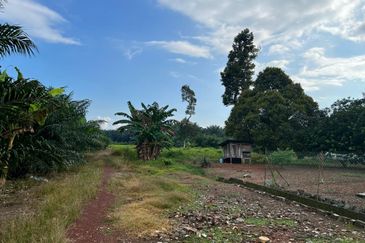 Agriculture land for sell @ Tangkak
