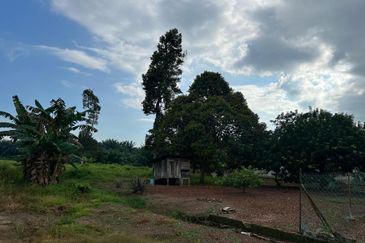 Agriculture land for sell @ Tangkak